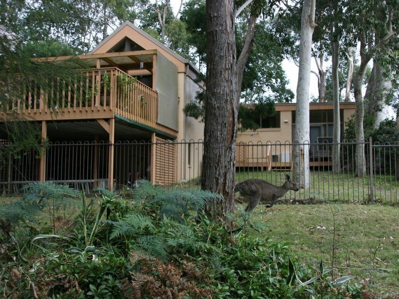69 Maloneys Drive, Maloneys Beach NSW 2536