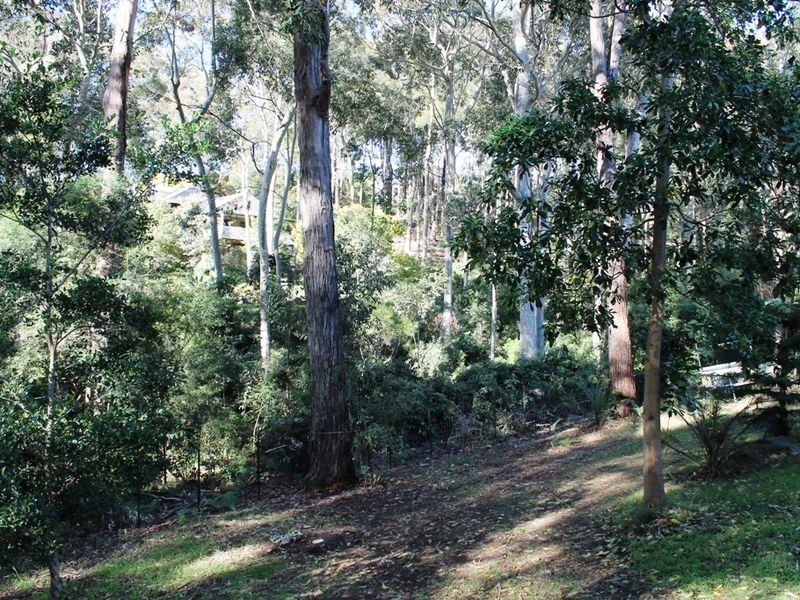 17 Barrani Place, Lilli Pilli NSW 2536