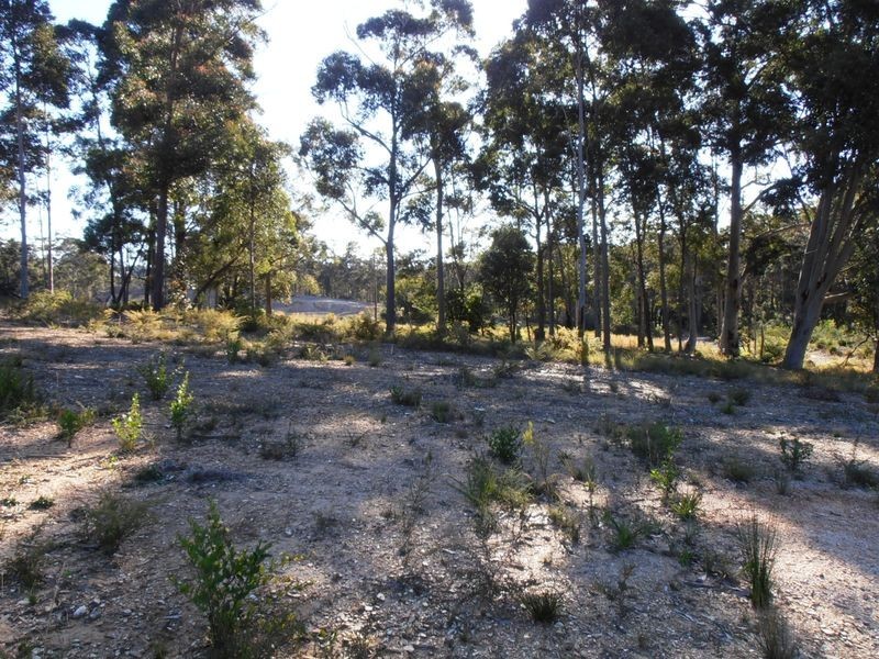 Lot 21 Sea Change Estate, Malua Bay NSW 2536