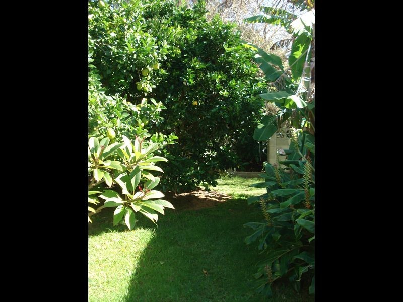 13 Garagarang Street, Malua Bay NSW 2536
