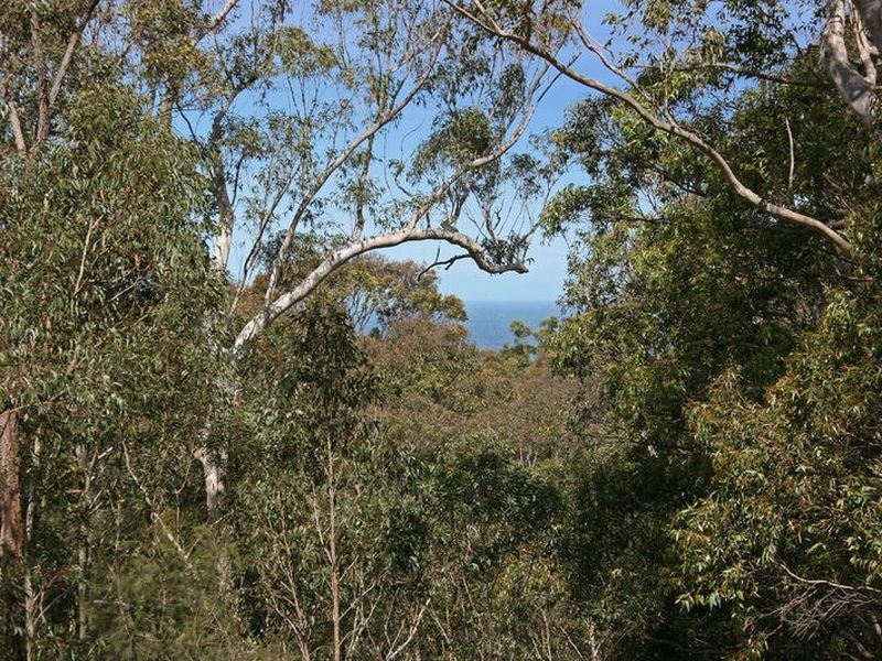 6a Roseby Drive, Rosedale NSW 2536