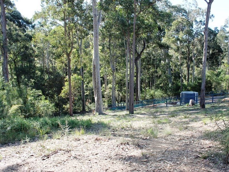 17 Bunderra Circuit, Lilli Pilli NSW 2536