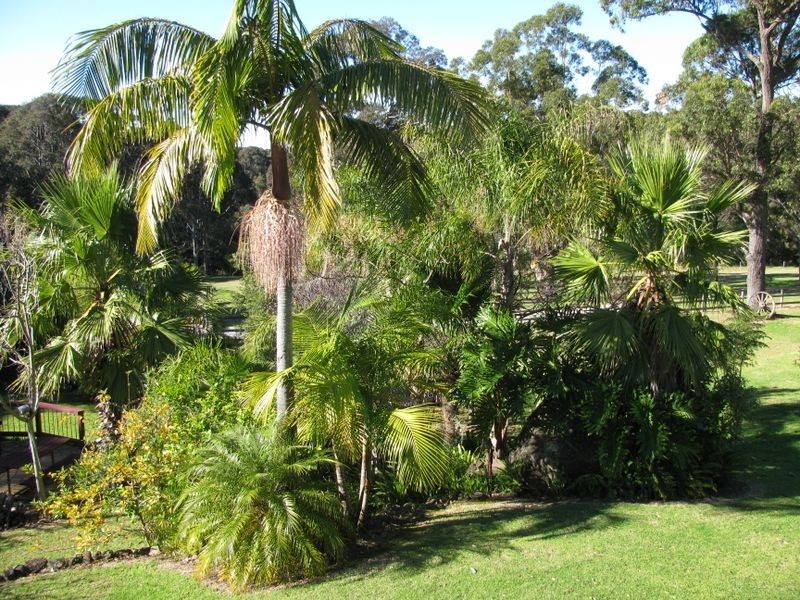 8 Nicholas Grove, Rosedale NSW 2536