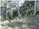 22 Bowerbird Place, Malua Bay NSW 2536