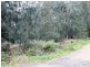 33 Connells Close, Mossy Point NSW 2537
