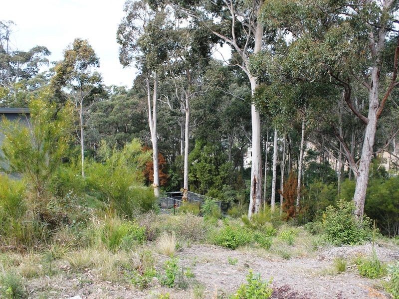 18 Bunderra Circuit, Lilli Pilli NSW 2536