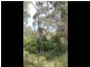 5 Barlings Drive, Tomakin NSW 2537