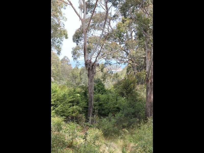 5 Barlings Drive, Tomakin NSW 2537