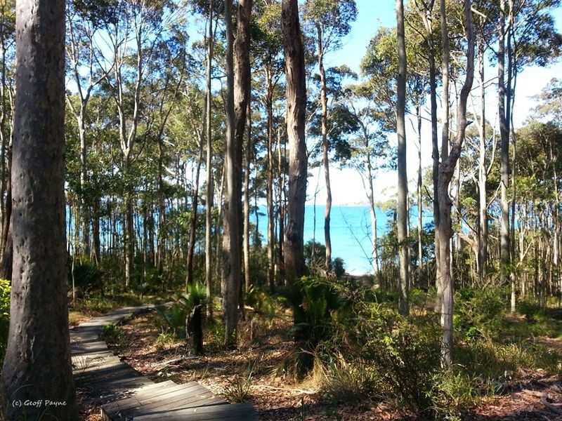 1 Denise Drive, Lilli Pilli NSW 2536