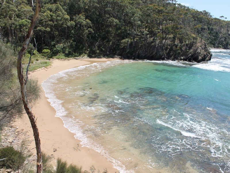 13 Dale Place, Rosedale NSW 2536