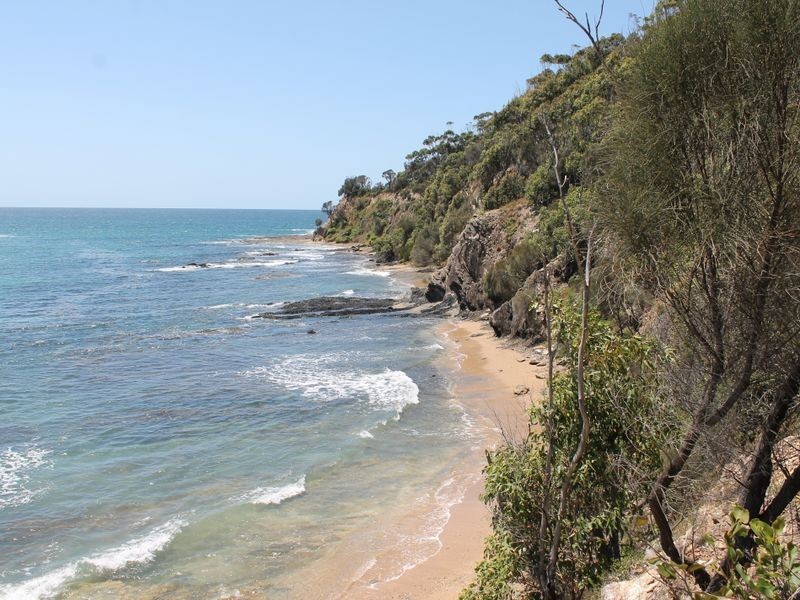 13 Dale Place, Rosedale NSW 2536