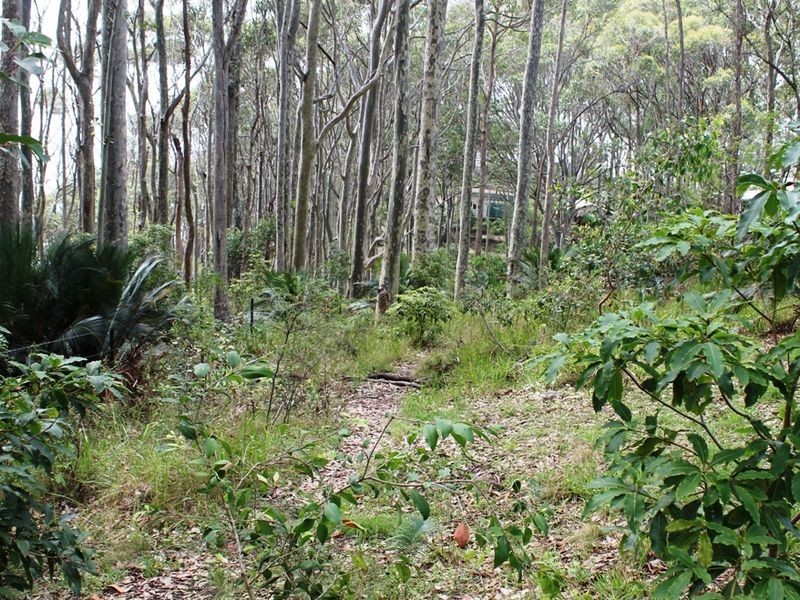 13 Dale Place, Rosedale NSW 2536