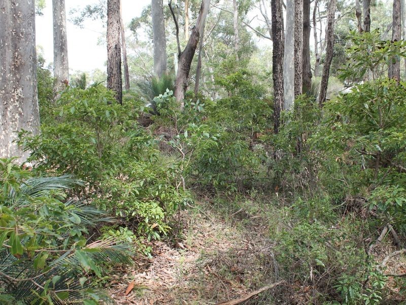 13 Dale Place, Rosedale NSW 2536