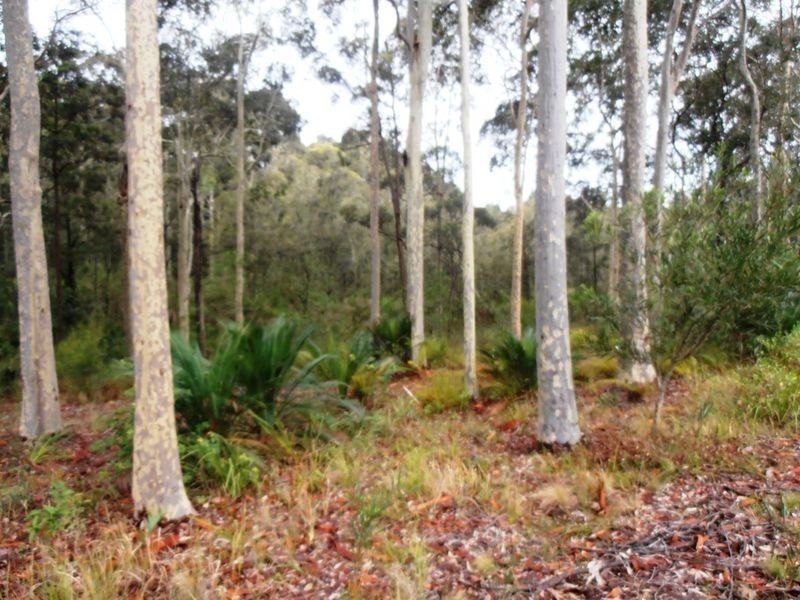 15 Banksia Grove, Malua Bay NSW 2536