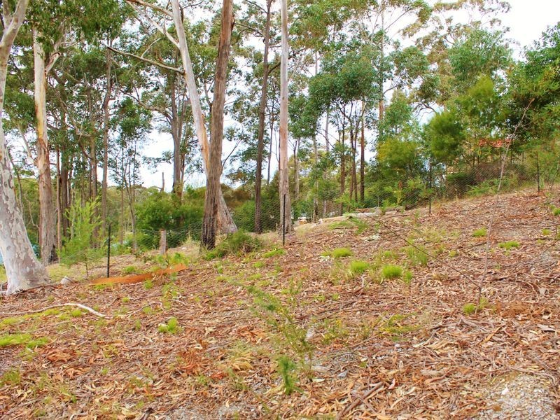 24 Wattlebird Way, Malua Bay NSW 2536