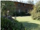 406 Backhouses Forest Road, Milton NSW 2538