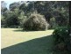406 Backhouses Forest Road, Milton NSW 2538