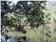 406 Backhouses Forest Road, Milton NSW 2538