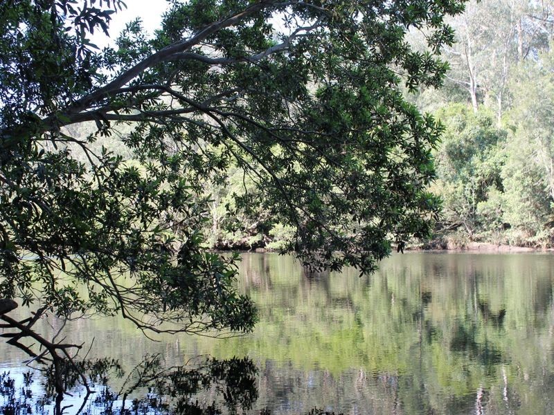 406 Backhouses Forest Road, Milton NSW 2538