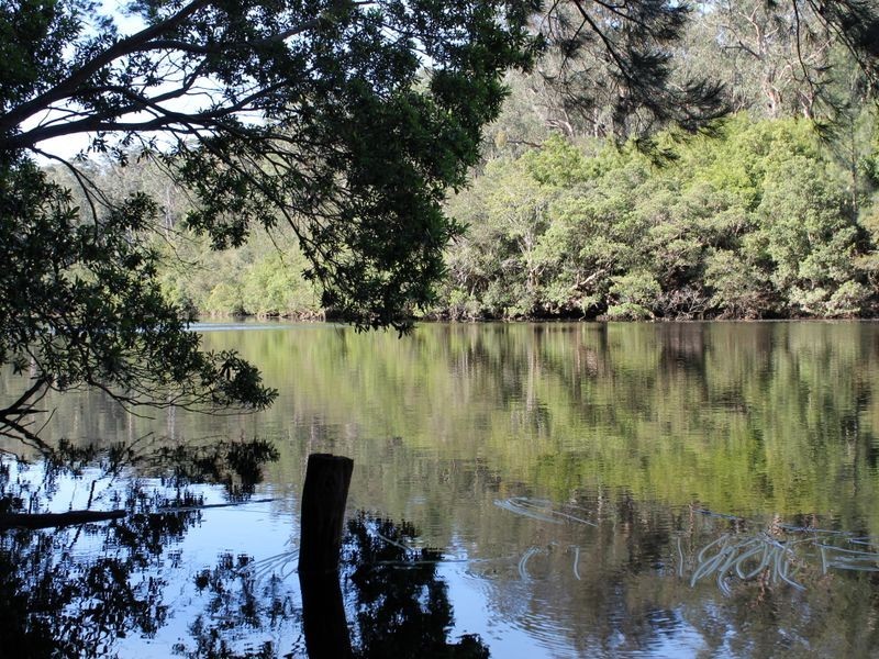 406 Backhouses Forest Road, Milton NSW 2538