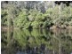 406 Backhouses Forest Road, Milton NSW 2538