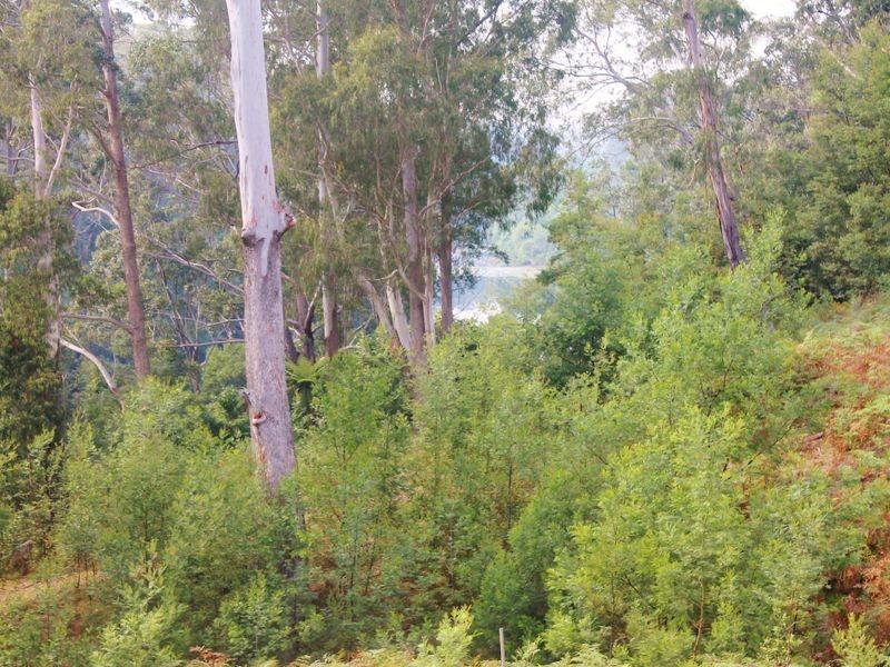 456a Backhouses Road, Milton NSW 2538