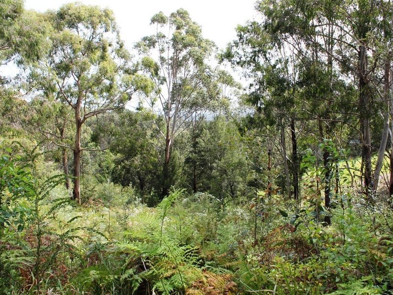 5 Barlings Drive, Tomakin NSW 2537