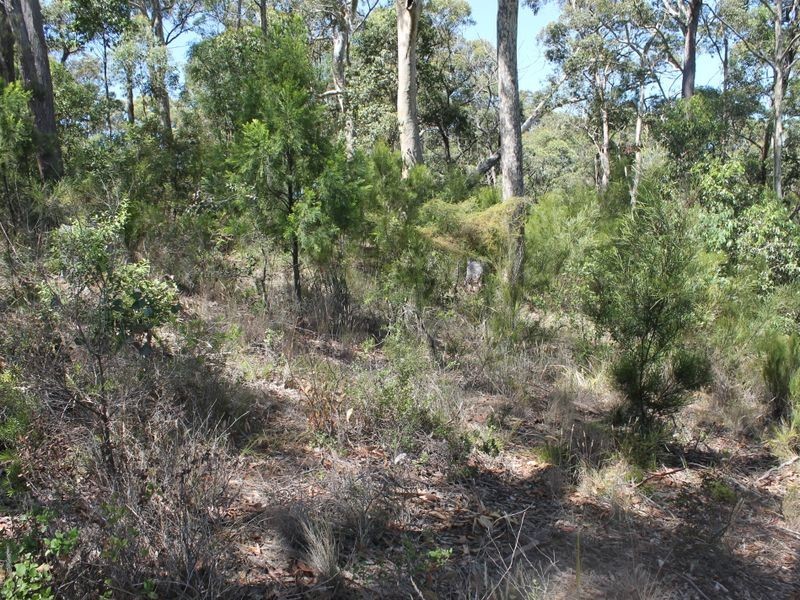 5 Tinarra Close, Lilli Pilli NSW 2536