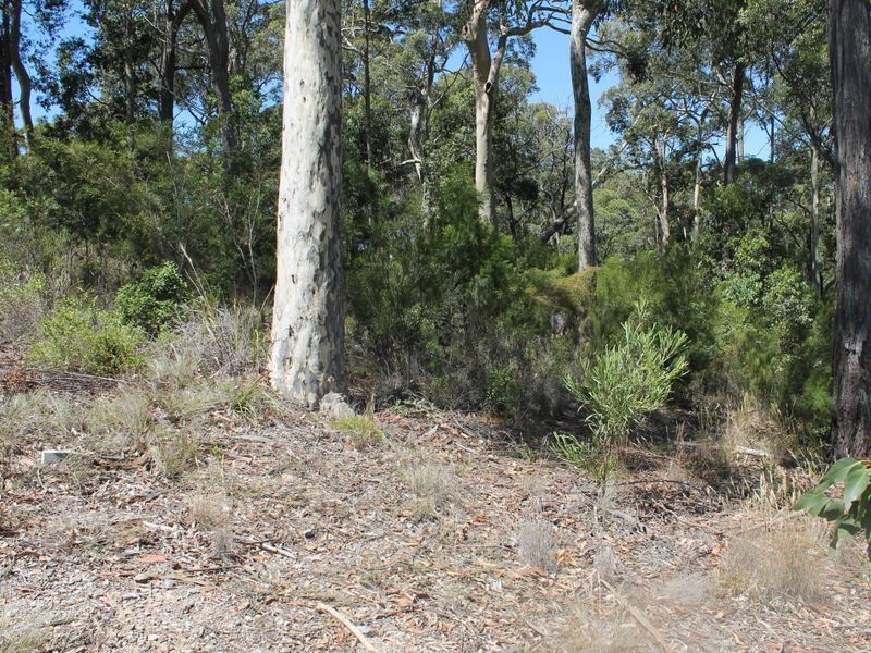 5 Tinarra Close, Lilli Pilli NSW 2536