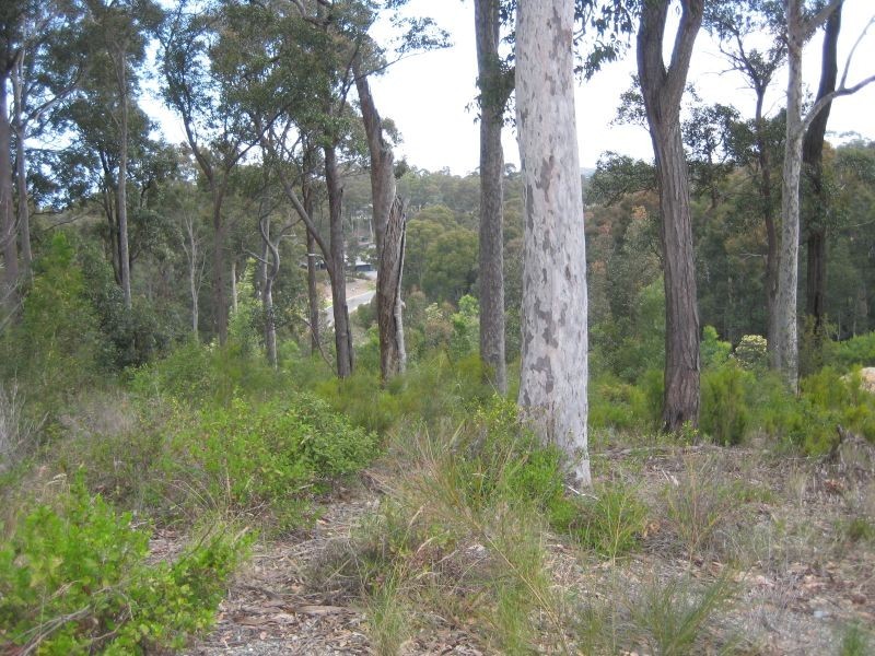 5 Tinarra Close, Lilli Pilli NSW 2536