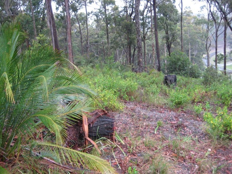 5 Tinarra Close, Lilli Pilli NSW 2536