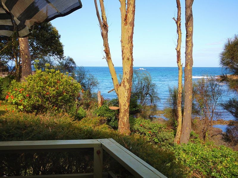 22 Baringa Crescent, Lilli Pilli NSW 2536