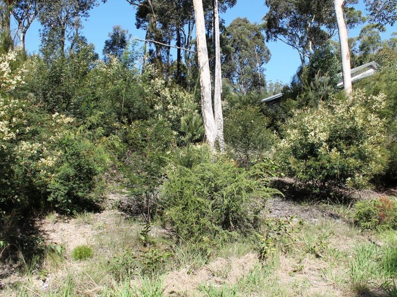 28 Wattlebird Way, Malua Bay NSW 2536