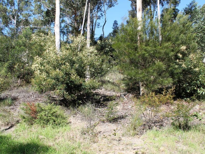 28 Wattlebird Way, Malua Bay NSW 2536