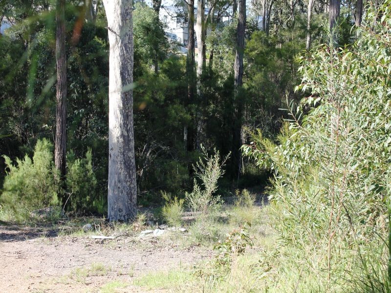 15 Wattlebird Way, Malua Bay NSW 2536