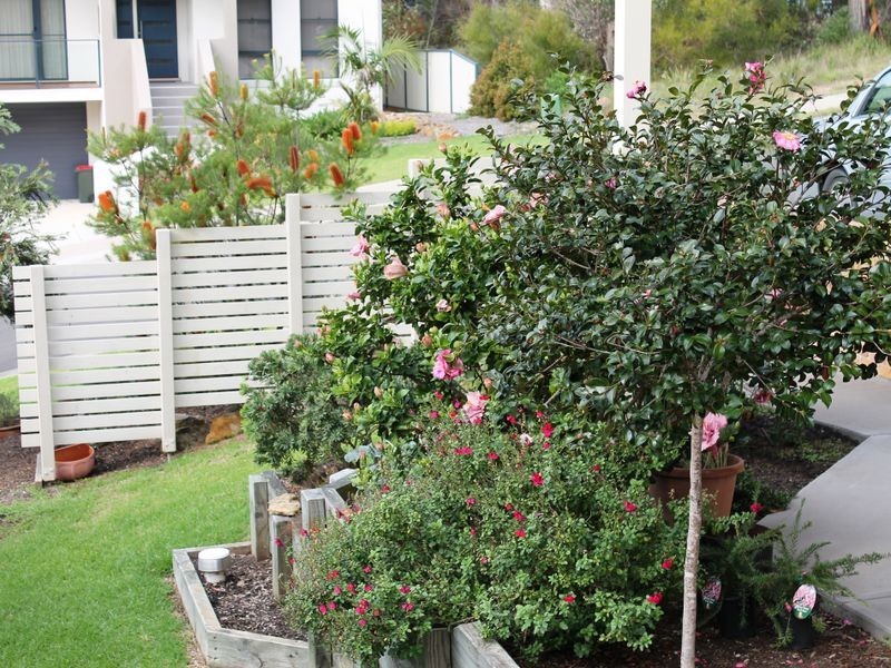 2 Wattlebird Way, Malua Bay NSW 2536