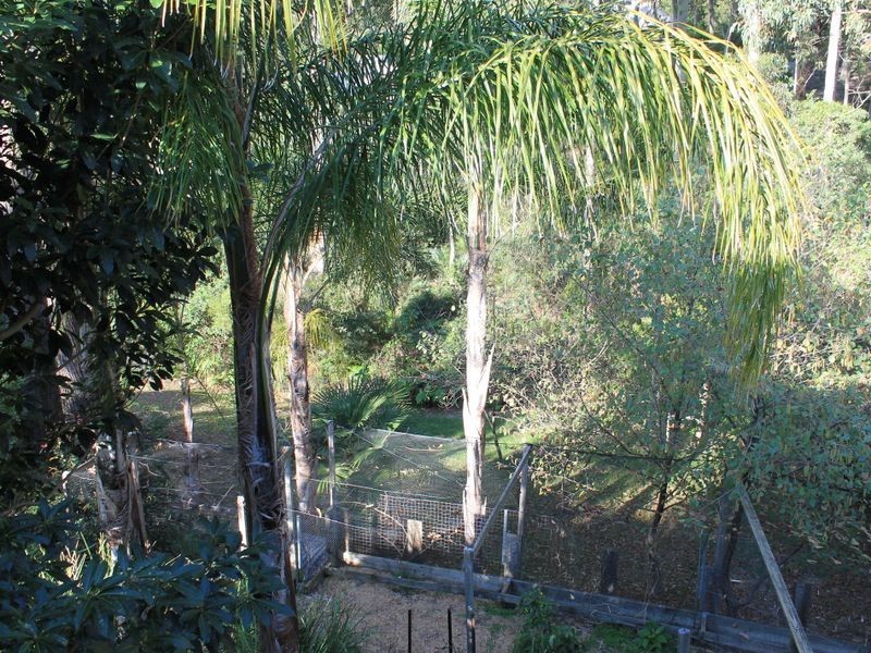 15 Barrani Place, Lilli Pilli NSW 2536