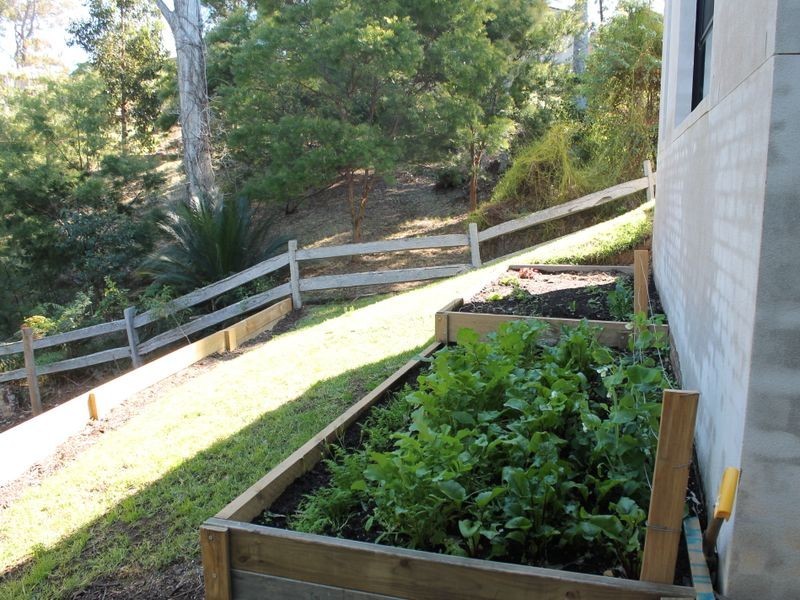 19 Carramar Drive, Lilli Pilli NSW 2536