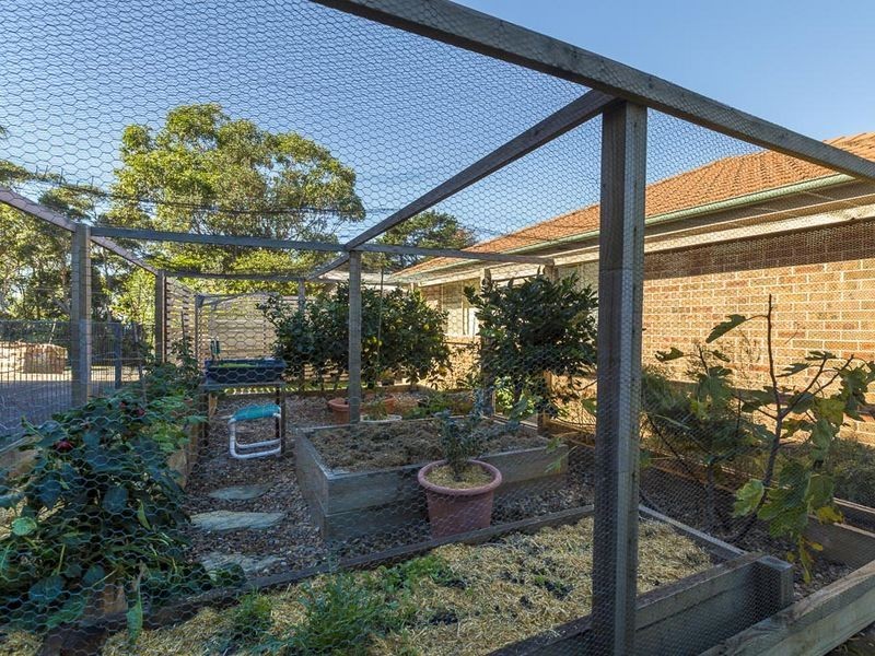 50 Tallawang Avenue, Malua Bay NSW 2536