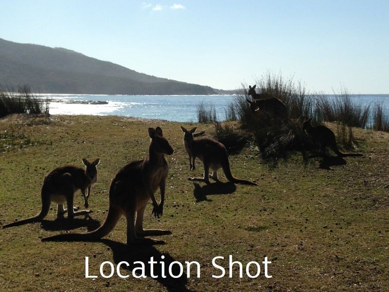 10 Fairley Street, Depot Beach NSW 2536