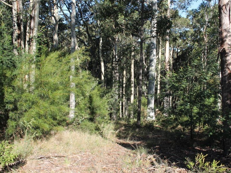 66 Moorong Crescent, Malua Bay NSW 2536