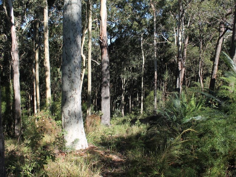 66 Moorong Crescent, Malua Bay NSW 2536