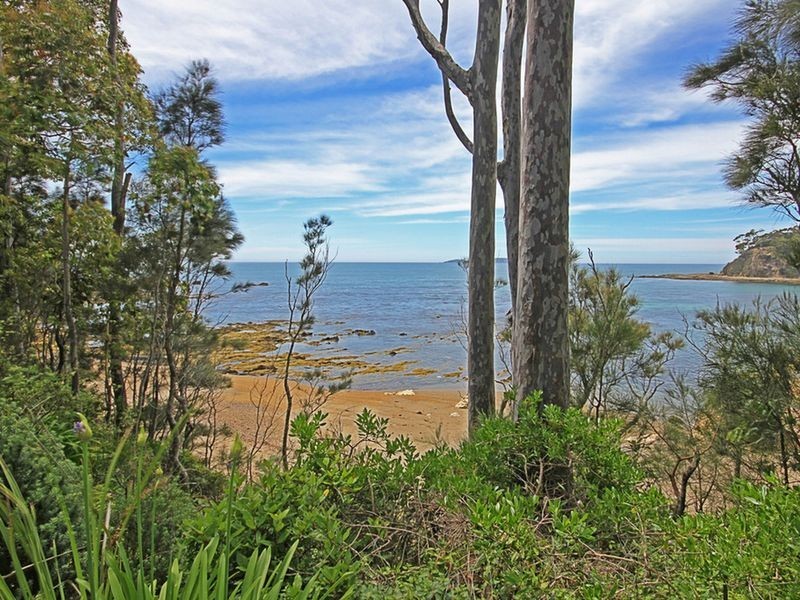 1/29 Bronte Crescent, Sunshine Bay NSW 2536