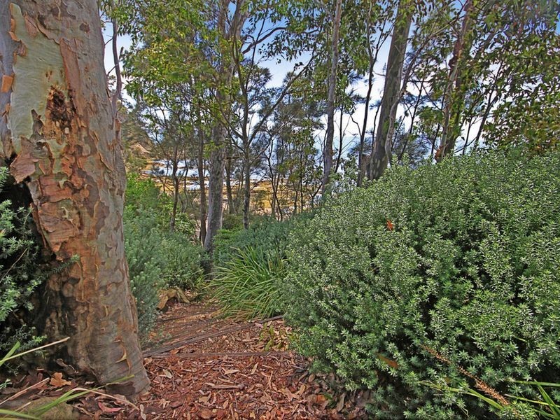 1/29 Bronte Crescent, Sunshine Bay NSW 2536