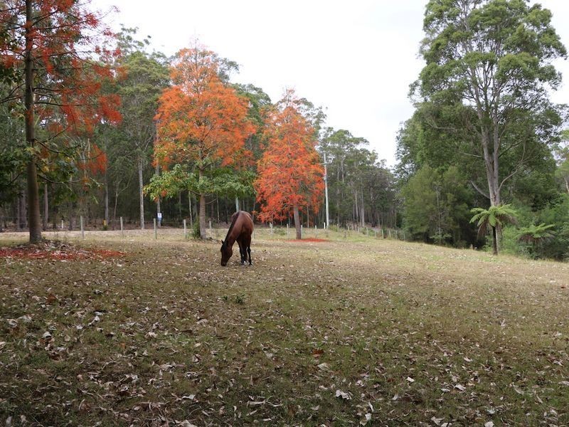 32 Grandfathers Gully Road, Lilli Pilli NSW 2536