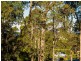 7A Tinarra Close, Lilli Pilli NSW 2536