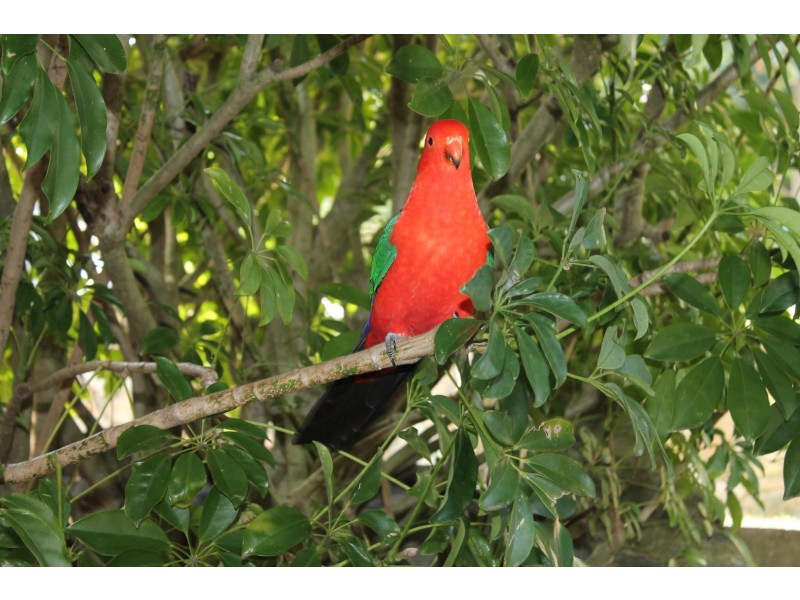 435-437 George Bass Drive, Malua Bay NSW 2536