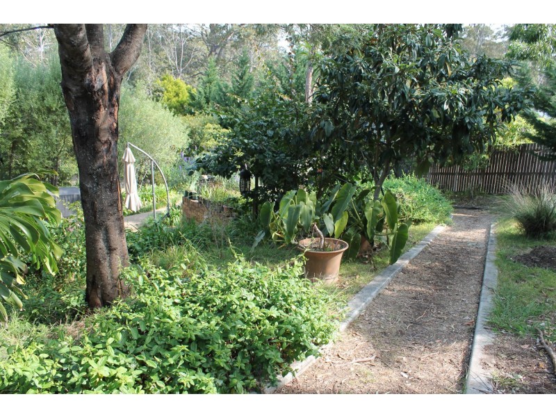 435-437 George Bass Drive, Malua Bay NSW 2536