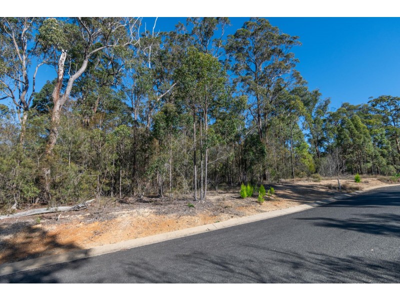 Lot 1 Misons Road, Bimbimbie NSW 2536