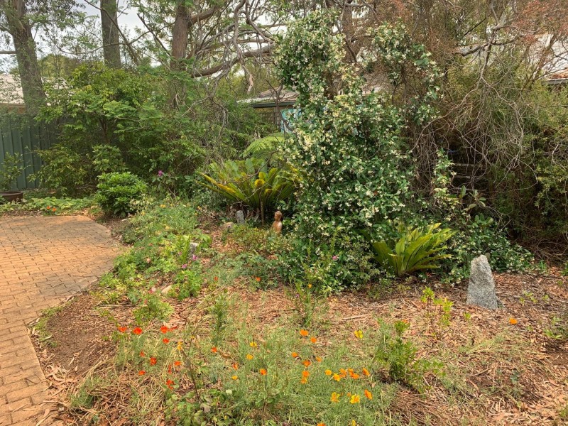 11 Banksia Street, Broulee NSW 2537